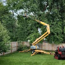 How Our Tree Care Process Works  in  Cresson, TX